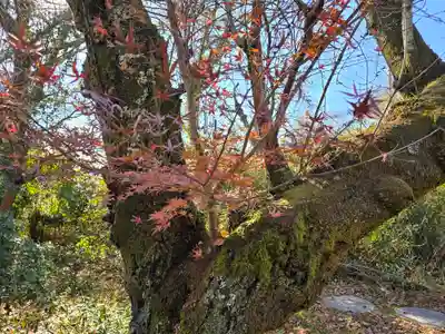 龍泉寺(大阪府)