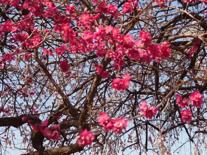 宗仲寺(神奈川県)