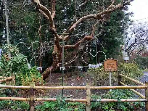 亀岡八幡宮の庭園