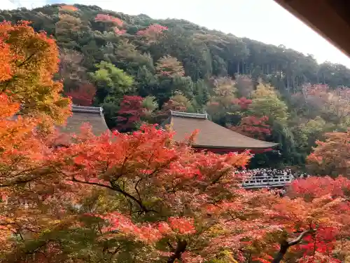 清水寺(京都府)