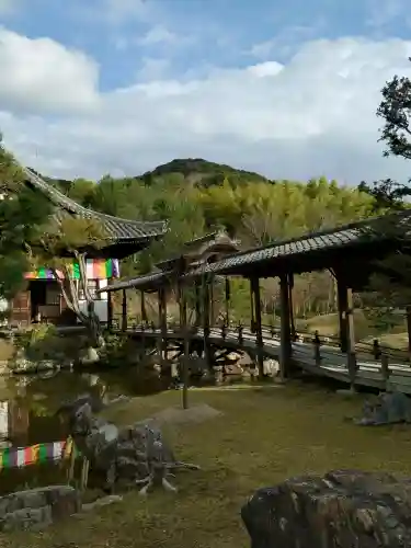 高台寺（高台寿聖禅寺・高臺寺）(京都府)