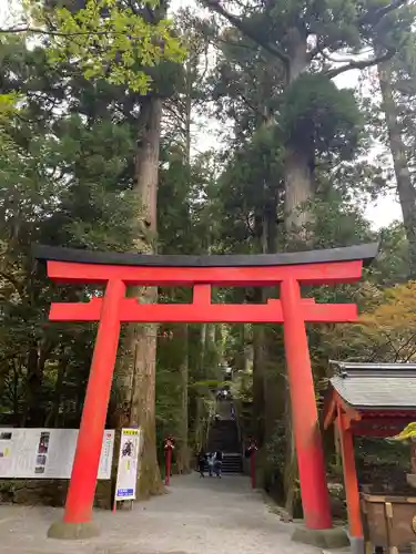 箱根神社(神奈川県)