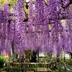 行興寺(静岡県)