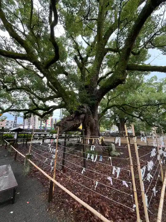 諫早神社(九州総守護 四面宮)(長崎県)