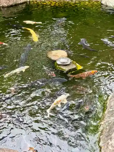 香福寺(神奈川県)