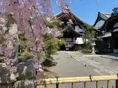 妙顯寺（妙顕寺）(京都府)