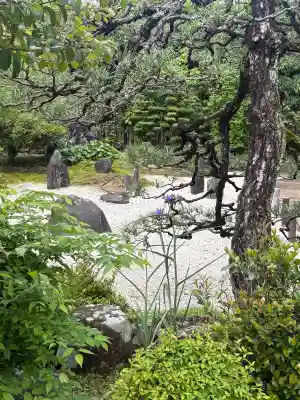 崇福寺の{uncategorized: "未分類", other: "その他", undefined: "問題あり", building: "その他建物", grave: "お墓", sacred_gate: "鳥居", guardian: "狛犬", statue: "像", buddha: "仏像", history: "歴史", nature: "自然", garden: "庭園", animal: "動物", pagoda: "塔", temizu: "手水舎", mountain_gate: "山門・神門", sanctuary: "本殿・本堂", subordinate: "末社・摂社", art: "芸術", scenery: "景色", jizo: "地蔵", ema: "絵馬", goshuin: "御朱印", omikuji: "おみくじ", items: "授与品その他", amulet: "お守り", goshuincho: "御朱印帳", eats: "食事", festival: "お祭り", votive_dance: "神楽", shichigosan: "七五三参", wedding: "結婚式", experience: "体験その他", initially: "初詣", around: "周辺", anti_infection: "感染症対策"}