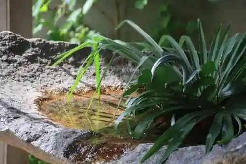 愛宕神社の手水