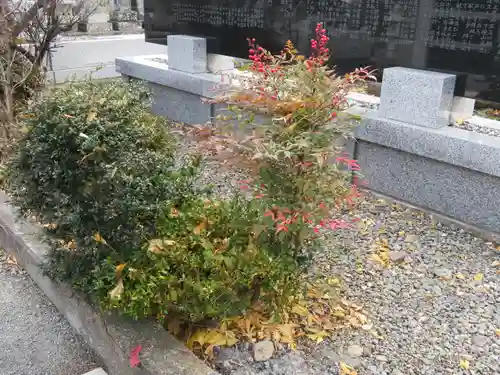 浄土宗善立寺の自然