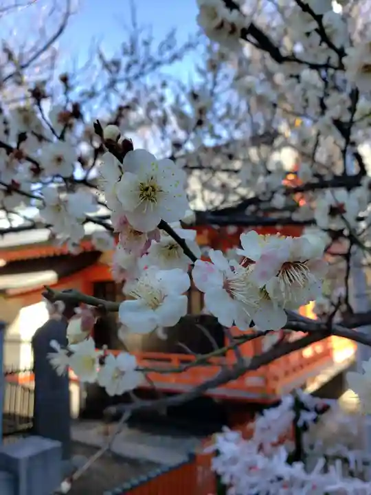 花園神社の自然