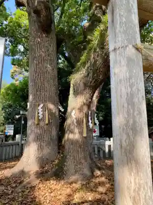 冠纓神社(香川県)