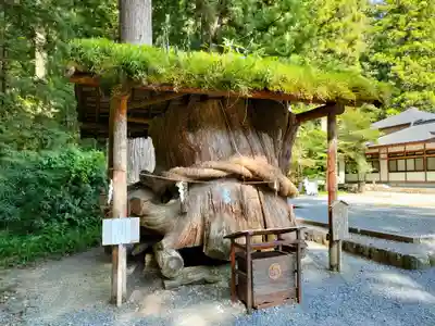 小國神社の自然