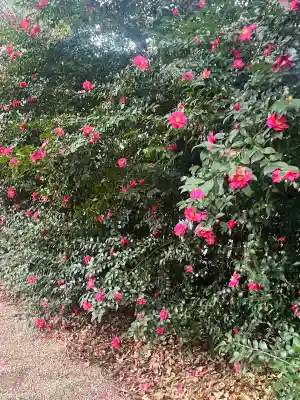 野々宮神社(大阪府)