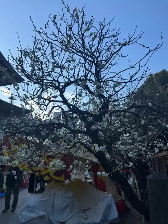 湯島天満宮の{uncategorized: "未分類", other: "その他", undefined: "問題あり", building: "その他建物", grave: "お墓", sacred_gate: "鳥居", guardian: "狛犬", statue: "像", buddha: "仏像", history: "歴史", nature: "自然", garden: "庭園", animal: "動物", pagoda: "塔", temizu: "手水舎", mountain_gate: "山門・神門", sanctuary: "本殿・本堂", subordinate: "末社・摂社", art: "芸術", scenery: "景色", jizo: "地蔵", ema: "絵馬", goshuin: "御朱印", omikuji: "おみくじ", items: "授与品その他", amulet: "お守り", goshuincho: "御朱印帳", eats: "食事", festival: "お祭り", votive_dance: "神楽", shichigosan: "七五三参", wedding: "結婚式", experience: "体験その他", initially: "初詣", around: "周辺", anti_infection: "感染症対策"}