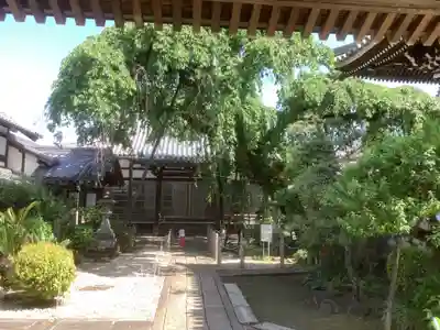 円明寺(愛知県)