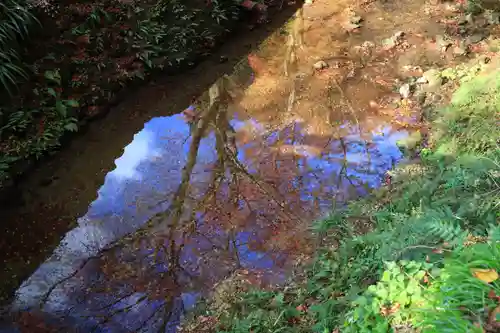 鰐淵寺の自然