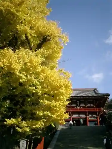 鶴岡八幡宮のその他建物