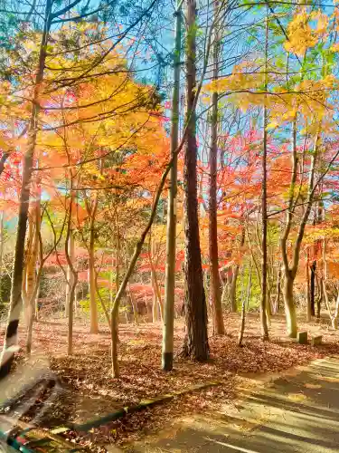 日輪寺の{uncategorized: "未分類", other: "その他", undefined: "問題あり", building: "その他建物", grave: "お墓", sacred_gate: "鳥居", guardian: "狛犬", statue: "像", buddha: "仏像", history: "歴史", nature: "自然", garden: "庭園", animal: "動物", pagoda: "塔", temizu: "手水舎", mountain_gate: "山門・神門", sanctuary: "本殿・本堂", subordinate: "末社・摂社", art: "芸術", scenery: "景色", jizo: "地蔵", ema: "絵馬", goshuin: "御朱印", omikuji: "おみくじ", items: "授与品その他", amulet: "お守り", goshuincho: "御朱印帳", eats: "食事", festival: "お祭り", votive_dance: "神楽", shichigosan: "七五三参", wedding: "結婚式", experience: "体験その他", initially: "初詣", around: "周辺", anti_infection: "感染症対策"}