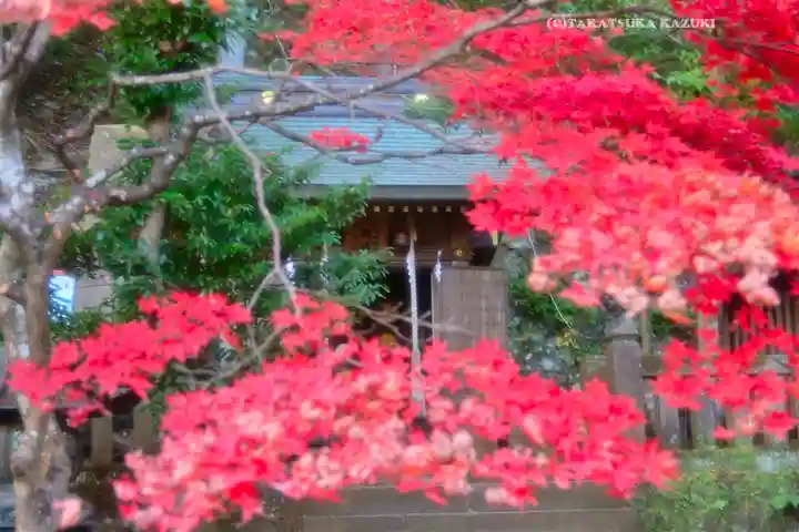 大山阿夫利神社(神奈川県)