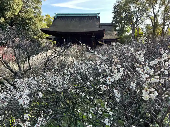 道明寺天満宮(大阪府)