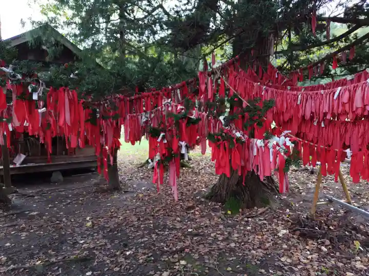卯子酉神社(岩手県)