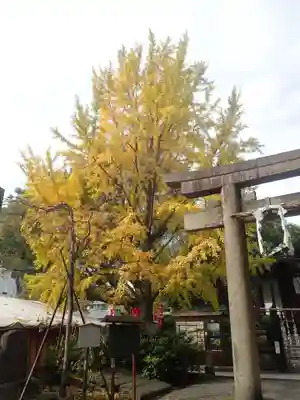大鷲神社(稲毛神社境内社)(神奈川県)