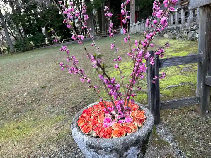 丹生都比売神社(和歌山県)