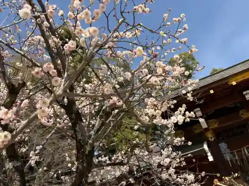 今宮神社の{uncategorized: "未分類", other: "その他", undefined: "問題あり", building: "その他建物", grave: "お墓", sacred_gate: "鳥居", guardian: "狛犬", statue: "像", buddha: "仏像", history: "歴史", nature: "自然", garden: "庭園", animal: "動物", pagoda: "塔", temizu: "手水舎", mountain_gate: "山門・神門", sanctuary: "本殿・本堂", subordinate: "末社・摂社", art: "芸術", scenery: "景色", jizo: "地蔵", ema: "絵馬", goshuin: "御朱印", omikuji: "おみくじ", items: "授与品その他", amulet: "お守り", goshuincho: "御朱印帳", eats: "食事", festival: "お祭り", votive_dance: "神楽", shichigosan: "七五三参", wedding: "結婚式", experience: "体験その他", initially: "初詣", around: "周辺", anti_infection: "感染症対策"}