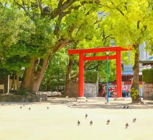 長田神社の鳥居