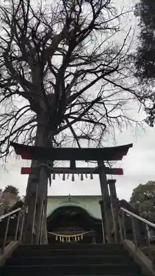 下総国三山 二宮神社の鳥居