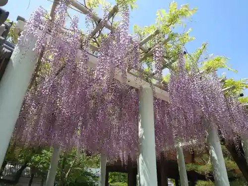 曽根天満宮の庭園