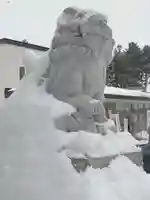 発寒神社の狛犬