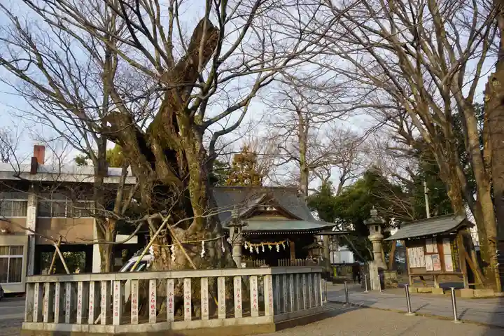 高城神社のその他建物