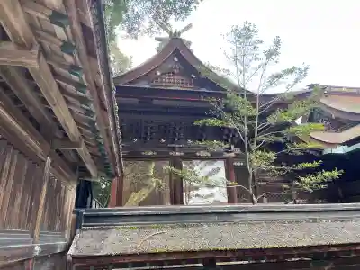 金刀比羅宮(香川県)