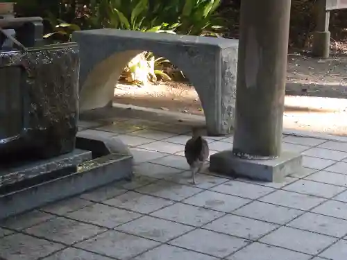 天岩戸神社(宮崎県)