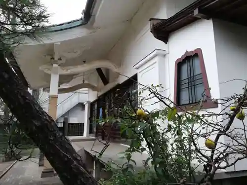 法善寺の本殿・本堂