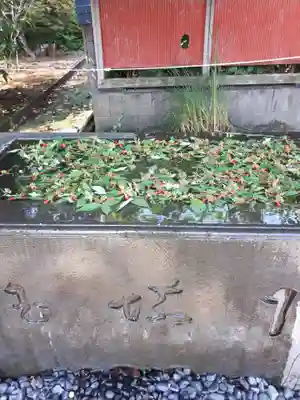 前玉神社の手水舎