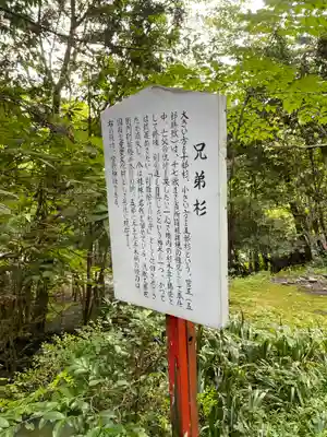 箱根神社の歴史