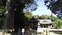 松澤 熊野神社の自然