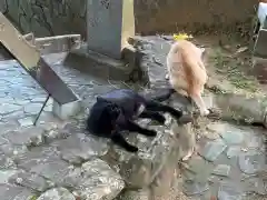 王子神社の動物