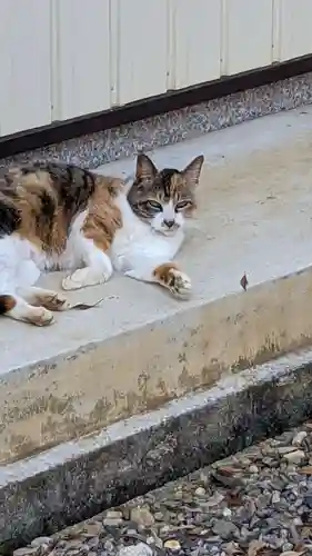 玉野御嶽神社の動物