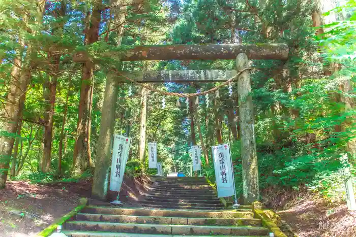 黄金山神社の鳥居