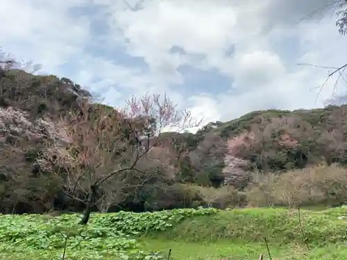 宝泉寺の景色