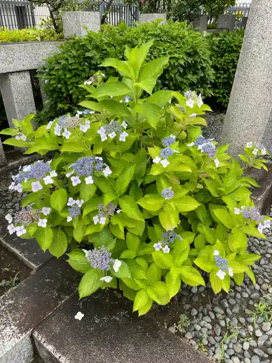 出世稲荷神社/豊国稲荷神社(東京都)