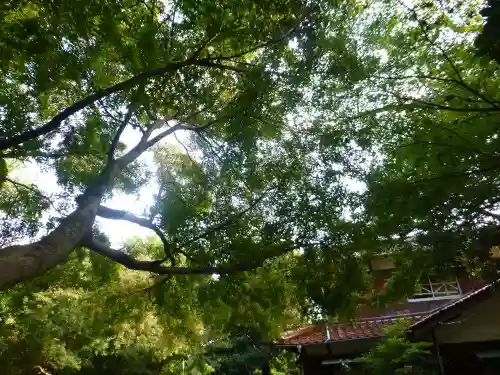 智光院(山口県)