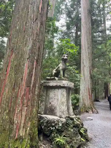 三峯神社(埼玉県)