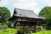 般若寺 ❁コスモス寺❁(奈良県)