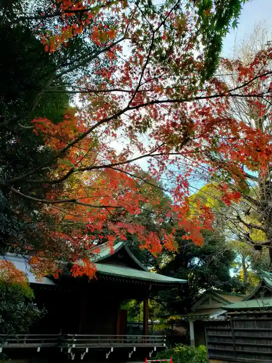 渋谷氷川神社(東京都)