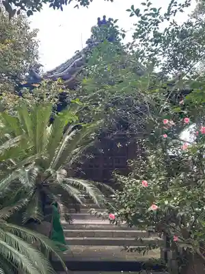 竜谷寺(東京都)