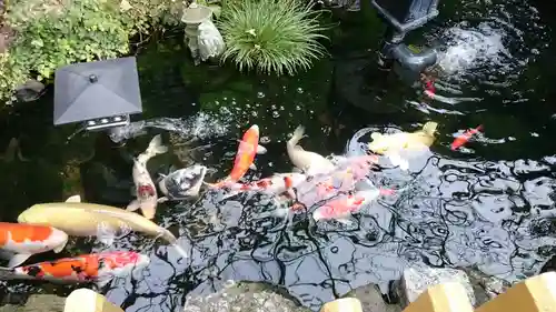 吉原弁財天本宮（吉原神社奥宮）の庭園
